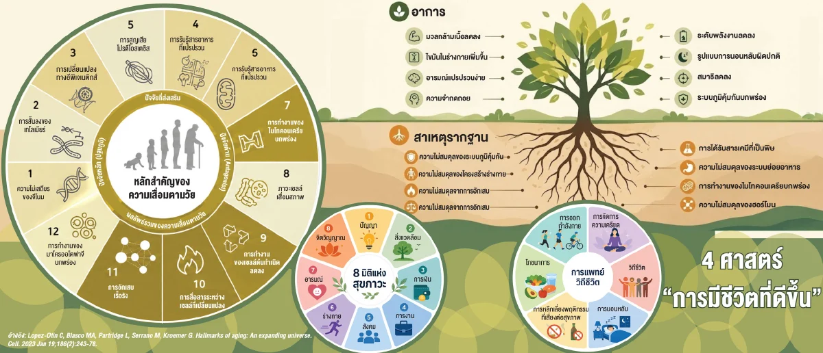 ไขความลับ 4 คำฮิตคนรักสุขภาพ Longevity, Wellness, Anti-Aging, Lifestyle Medicine ต่างกันอย่างไร?