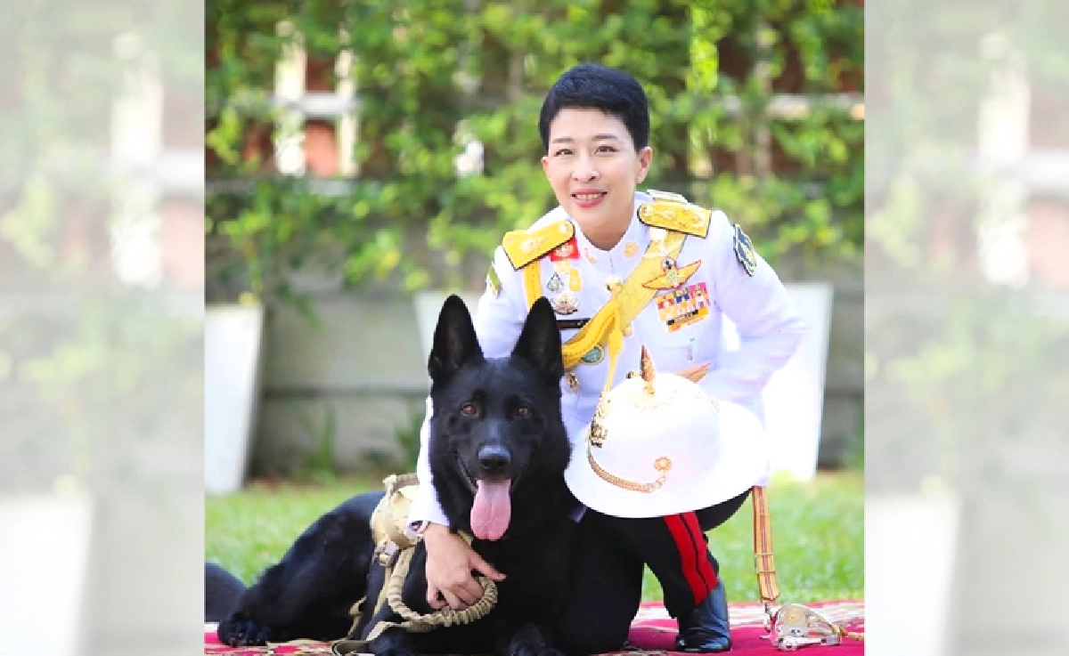 จากสุนัขไร้บ้านสู่ สุนัขทรงเลี้ยง : ปาฏิหาริย์แห่งน้ำพระทัย เจ้าฟ้าพัชรกิติยาภาฯ ประทานชีวิตใหม่สัตว์ถูกทอดทิ้ง