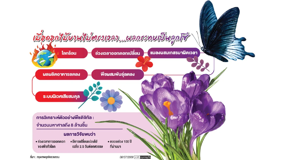 ‘โลกร้อน’ ทำ ‘ดอกไม้’ บานเร็ว-ช้าลง ทำลายสัมพันธ์ของพืชกับแมลงผสมเกสร กระทบผลผลิตอาหาร