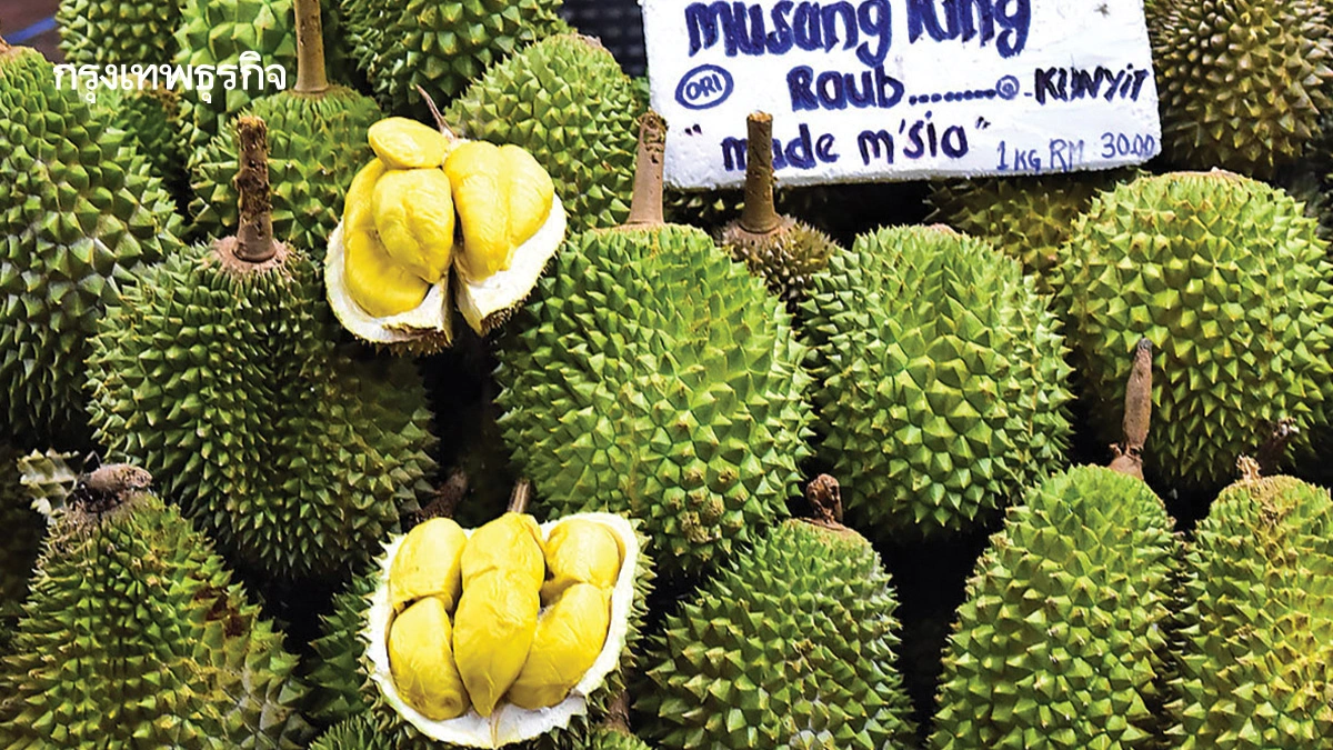 สึนามิ ‘ทุเรียนมาเลย์’